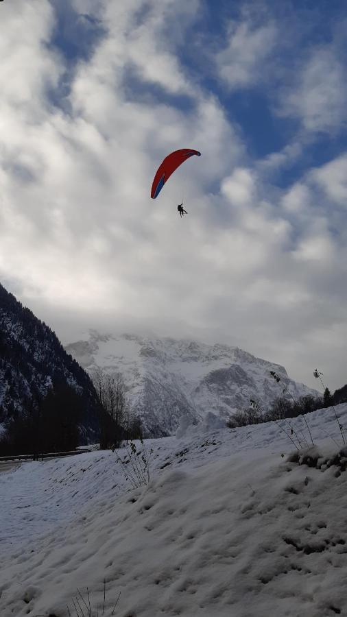 Vénosc-les 2 Alpes , Rez De Jardin Appartement Vénosc