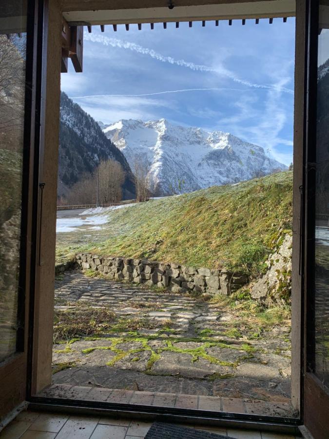 Vénosc-les 2 Alpes , Rez De Jardin