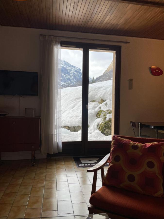 Vénosc-les 2 Alpes , Rez De Jardin Vénosc